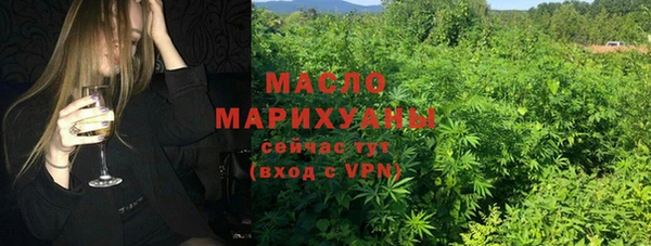 СК Алексин