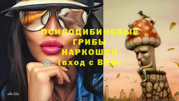 круглые Алзамай