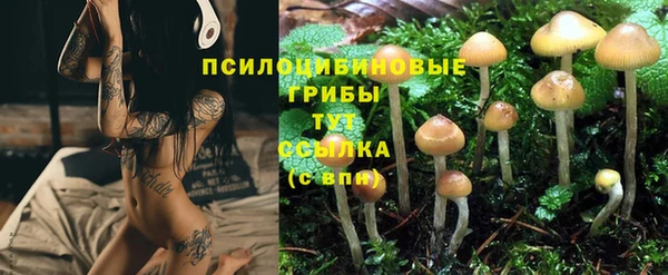 круглые Алзамай
