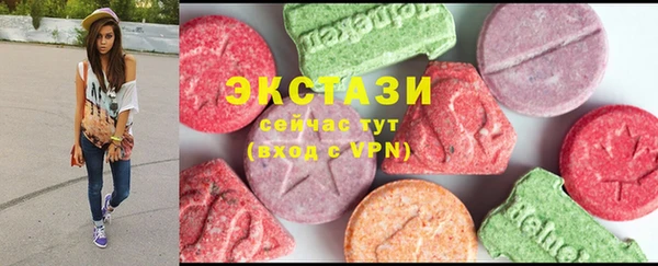 СК Алексин