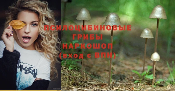 СК Алексин
