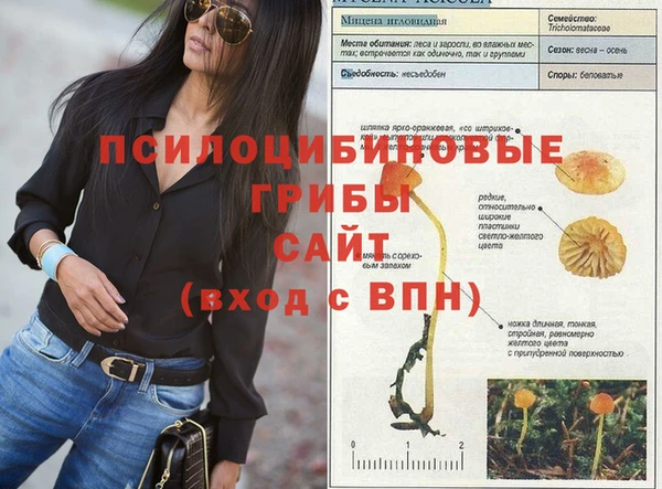 СК Алексин
